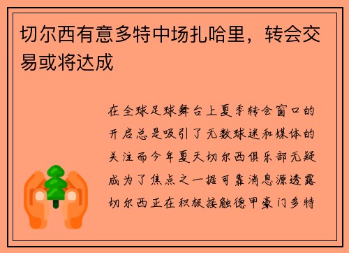 切尔西有意多特中场扎哈里，转会交易或将达成